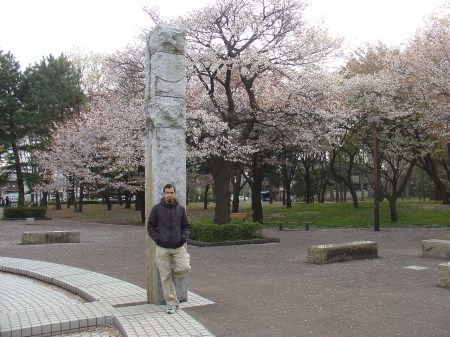 Contemplación del cerezo