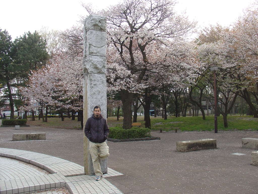 Contemplación del cerezo
