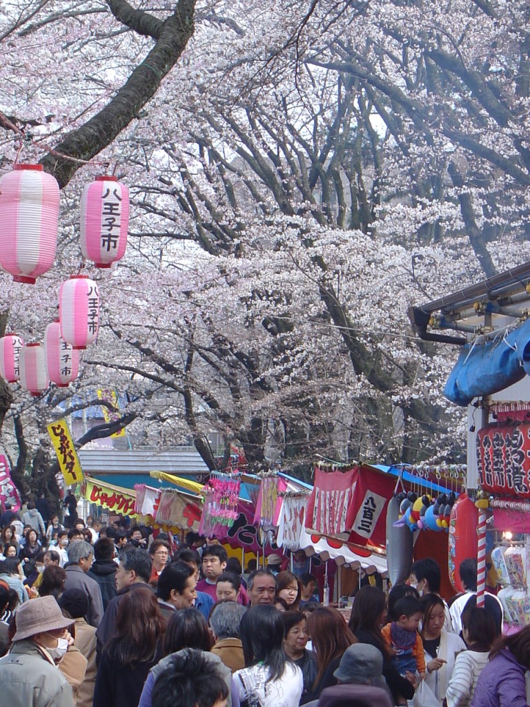 Contemplación del Cerezo, Tokio