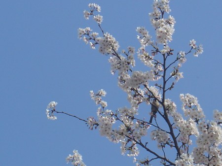 ¨Stressless sense¨ / Ángel La Rosa