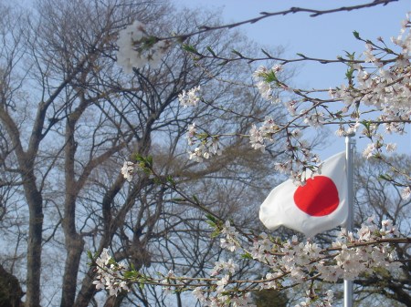 ¨Japón entre sakuras¨ / Ángel La Rosa
