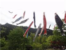 Parque de montaña, "Kodomo no hi", 2011